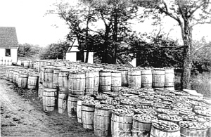Apple Barrels